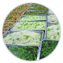 餐飲管理公司食品簡加工類特別專欄 提升效率與品質(zhì)的管理策略